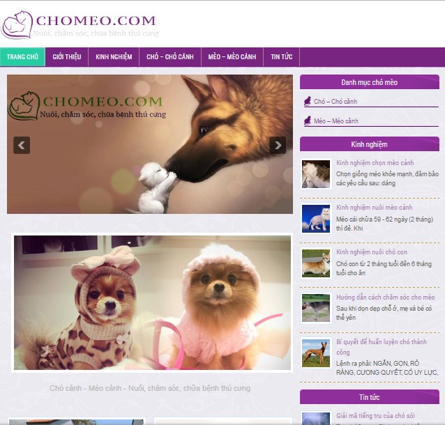 Thiết kế web thú cưng 