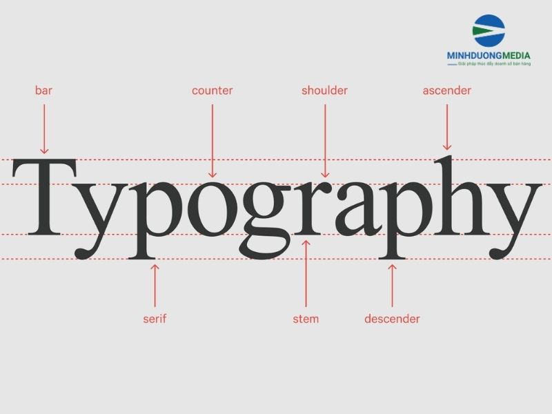 Typography là gì - 2