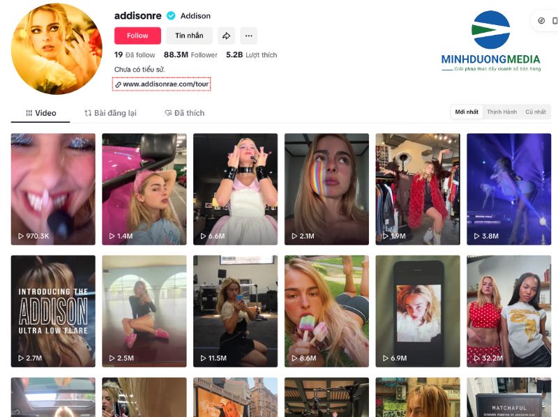 Kênh Tiktok về chủ đề nghệ thuật – âm nhạc, vẽ, nhảy