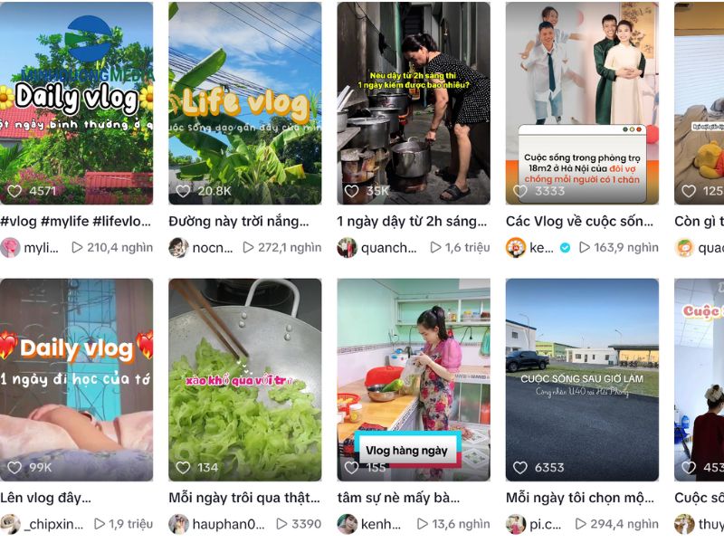 Daily vlog hàng ngày