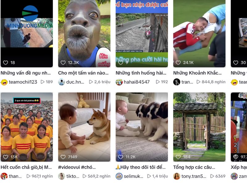 Những tình huống hài hước