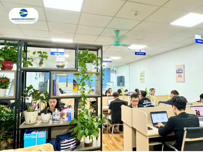 Quy trình SEO bài bản tại Minh Dương