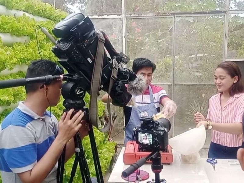 tăng-follow-tiktok