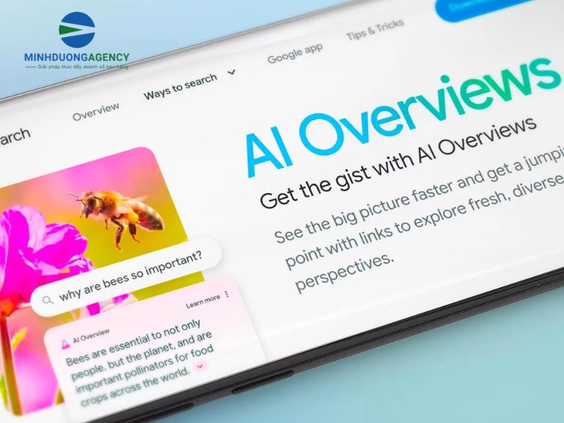 yếu-tố-giúp-website-xuất-hiện-trên-ai-overview