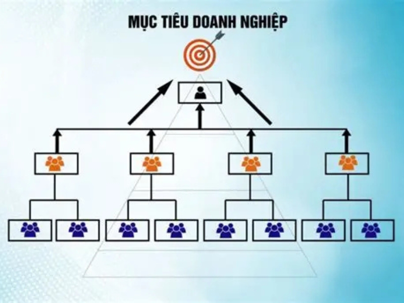 Thuê dịch vụ quản trị web